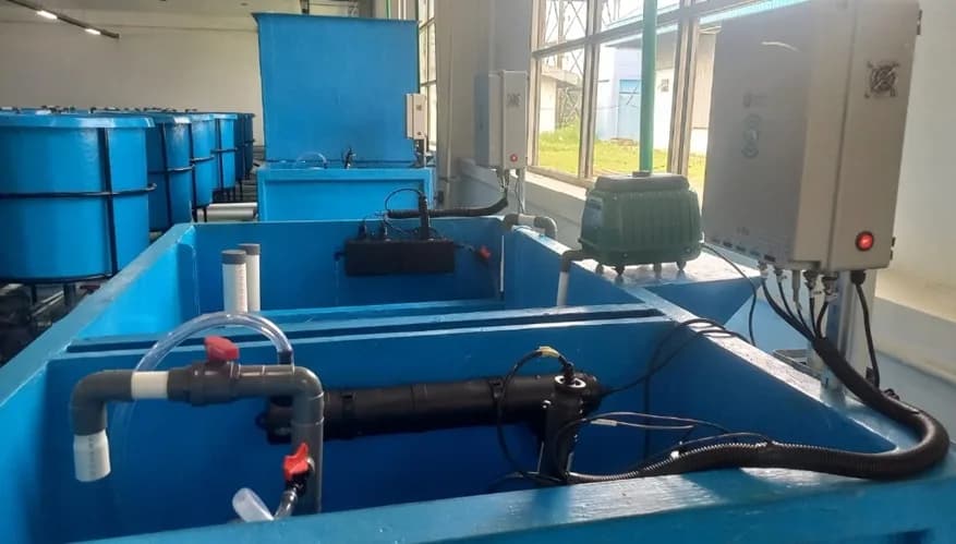 Perangkat filtrasi dan kontrol RAS BluesandAI pada implementasi yang berjalan